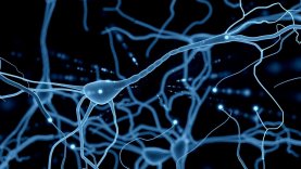 nöronlar-elektriksel-bağı