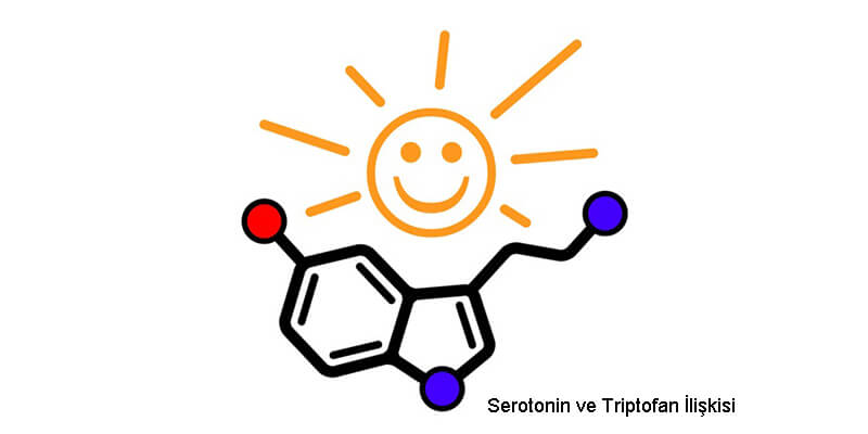 serotonin-triptofan